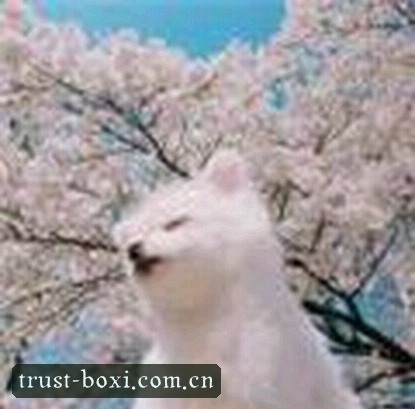 孙倩