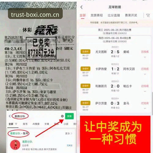 掌握都灵德比观赛技巧：博喜体育平台观战必备知识